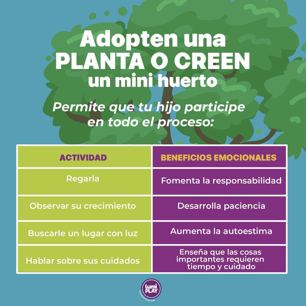 Imagen del artículo